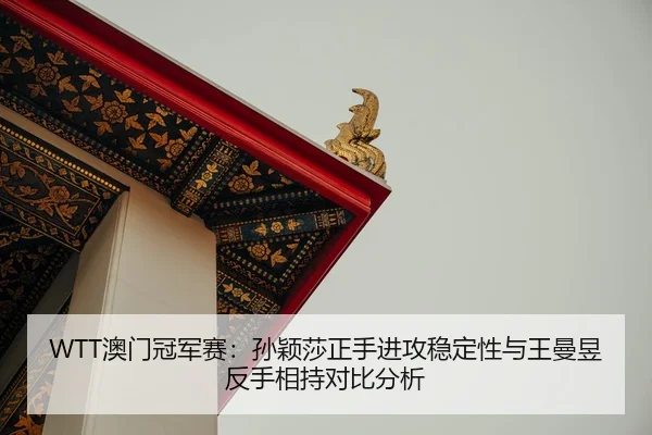 WTT澳门冠军赛：孙颖莎正手进攻稳定性与王曼昱反手相持对比分析