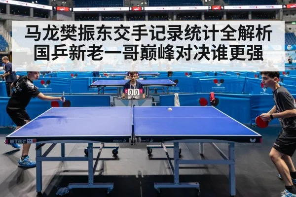 马龙樊振东交手记录统计全解析国乒新老一哥巅峰对决谁更强